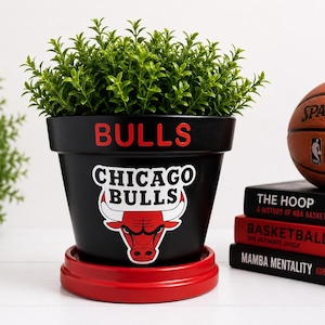 May include: A black ceramic flower pot featuring the red text BULLS and the Chicago Bulls logo in red, black, and white. The pot sits on a circular red saucer and contains a green plant. The design includes the team name and bull mascot.