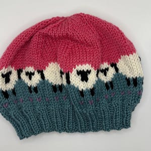 Può includere: Un berretto lavorato a mano a maglia, rosa e verde acqua. La parte superiore è rosa acceso, che sfuma in verde acqua alla base. Il berretto presenta un motivo di pecore bianche con facce e zampe nere, aggiungendo un tocco stravagante.