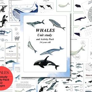 WHALES Unit Study and activity Pack, for children 3-6 years old, Anatomy, Life cycle, Nature Study, Homeschool, Instant DOWNLOAD
