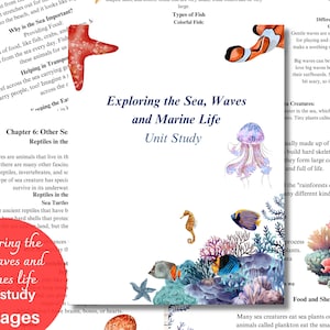 Exploring the Sea, Waves and Marine Life, Unit study for children 3-6 years old.