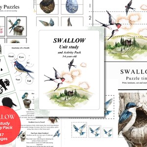 Puede incluir: Materiales educativos sobre golondrinas, que incluyen rompecabezas, un diagrama de anatomía y un paquete de actividades para niños de 3 a 6 años. Las ilustraciones presentan imágenes de acuarela de golondrinas, nidos y paisajes.