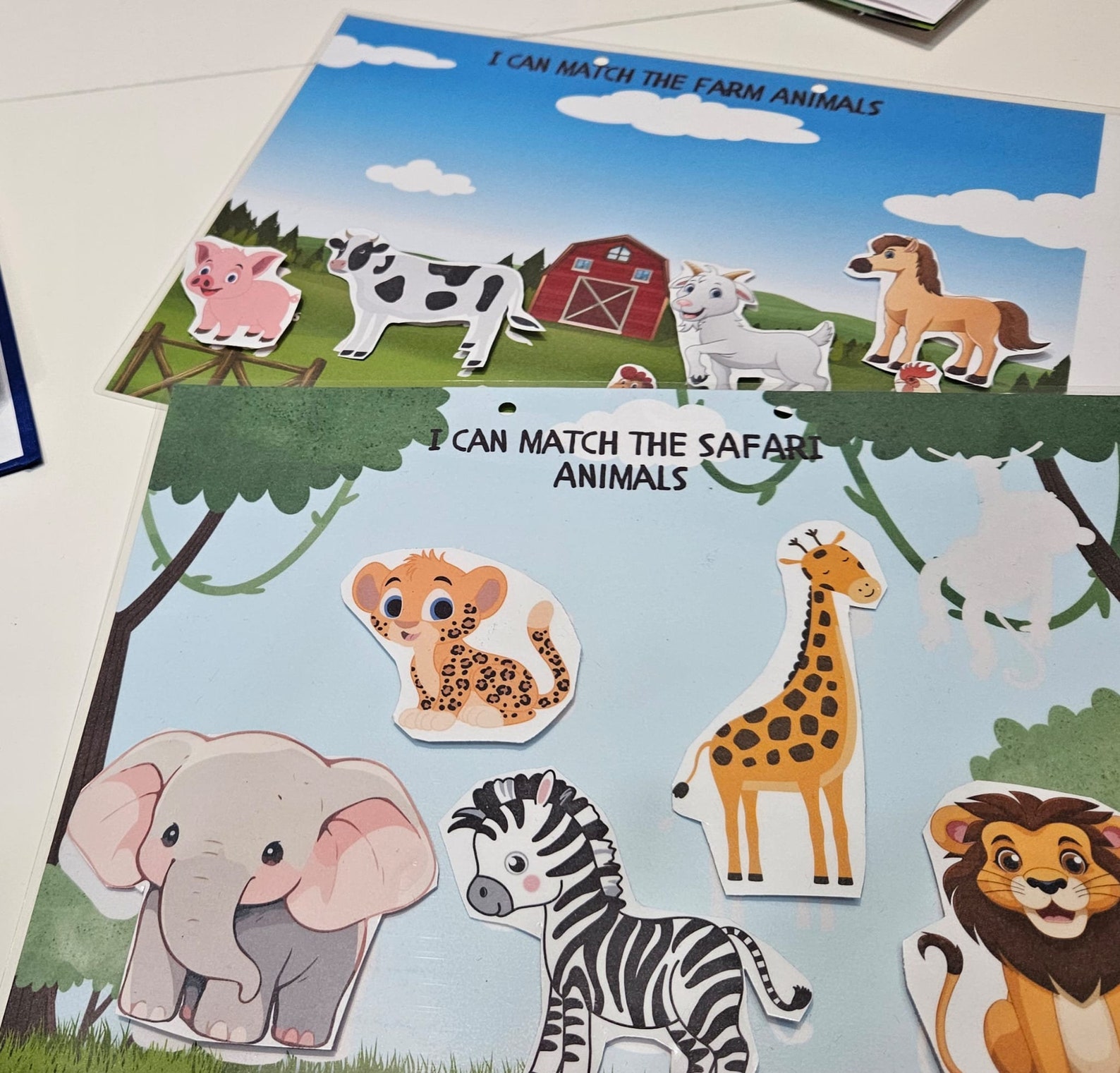 Animal Matching, Printable Animal Activity, Animal Habitats, Preschool