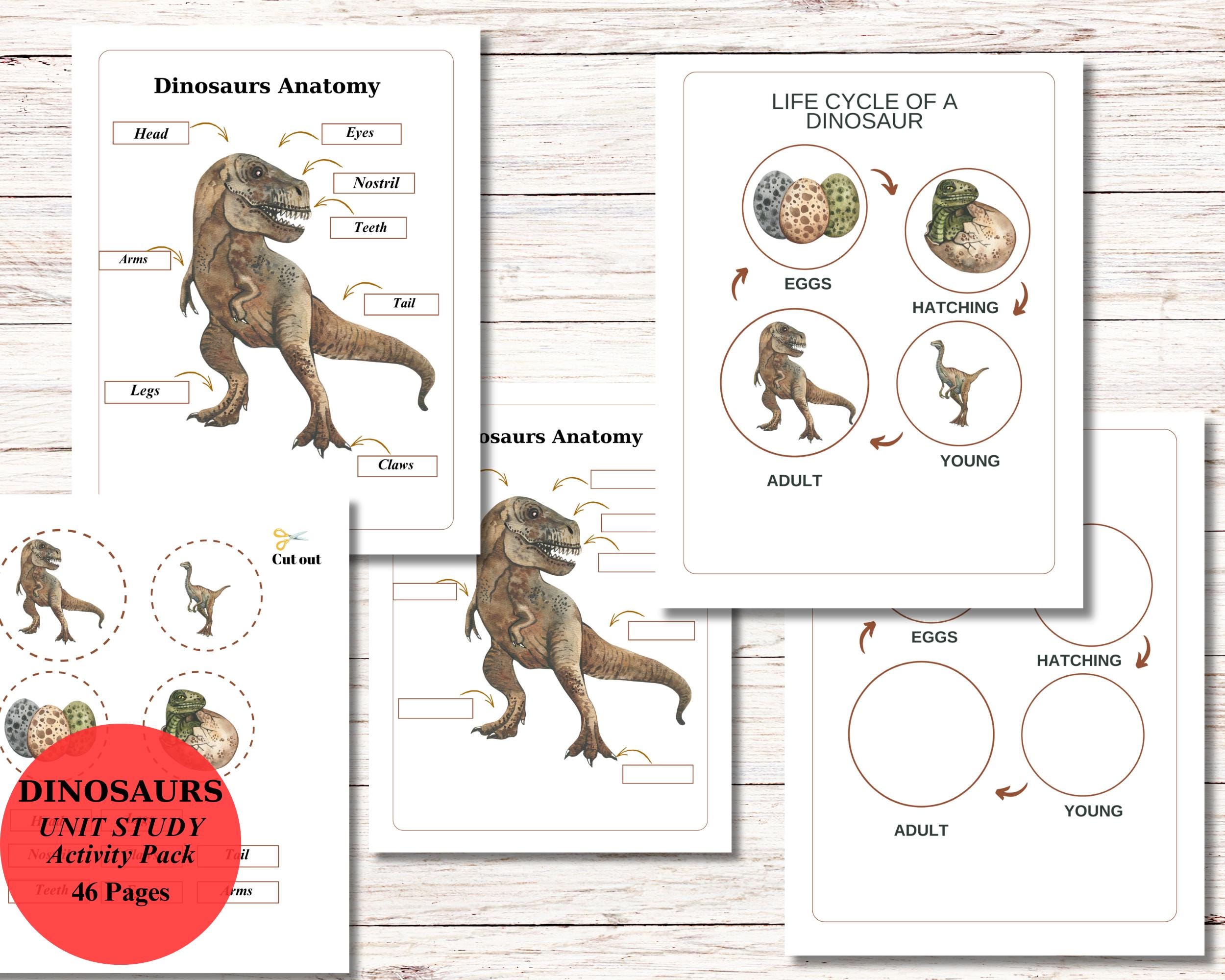 Dinosaurs Unit Study, Preschool Learning Pack (PDF) - Etsy
