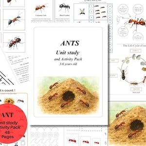 Puede incluir: Paquete de actividades educativas para niños de 3 a 6 años, con ilustraciones de hormigas y su ciclo de vida. Incluye laberintos, ejercicios de conteo y actividades de trazado. El paquete se titula "ANTS Unit study and Activity Pack" y contiene 48 páginas.