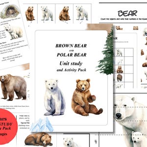 Brown Bear and Polar Bear Unit Study and activity Pack, for children 3-6 years old, Anatomy, Nature Study, Homeschool, Instant DOWNLOAD
