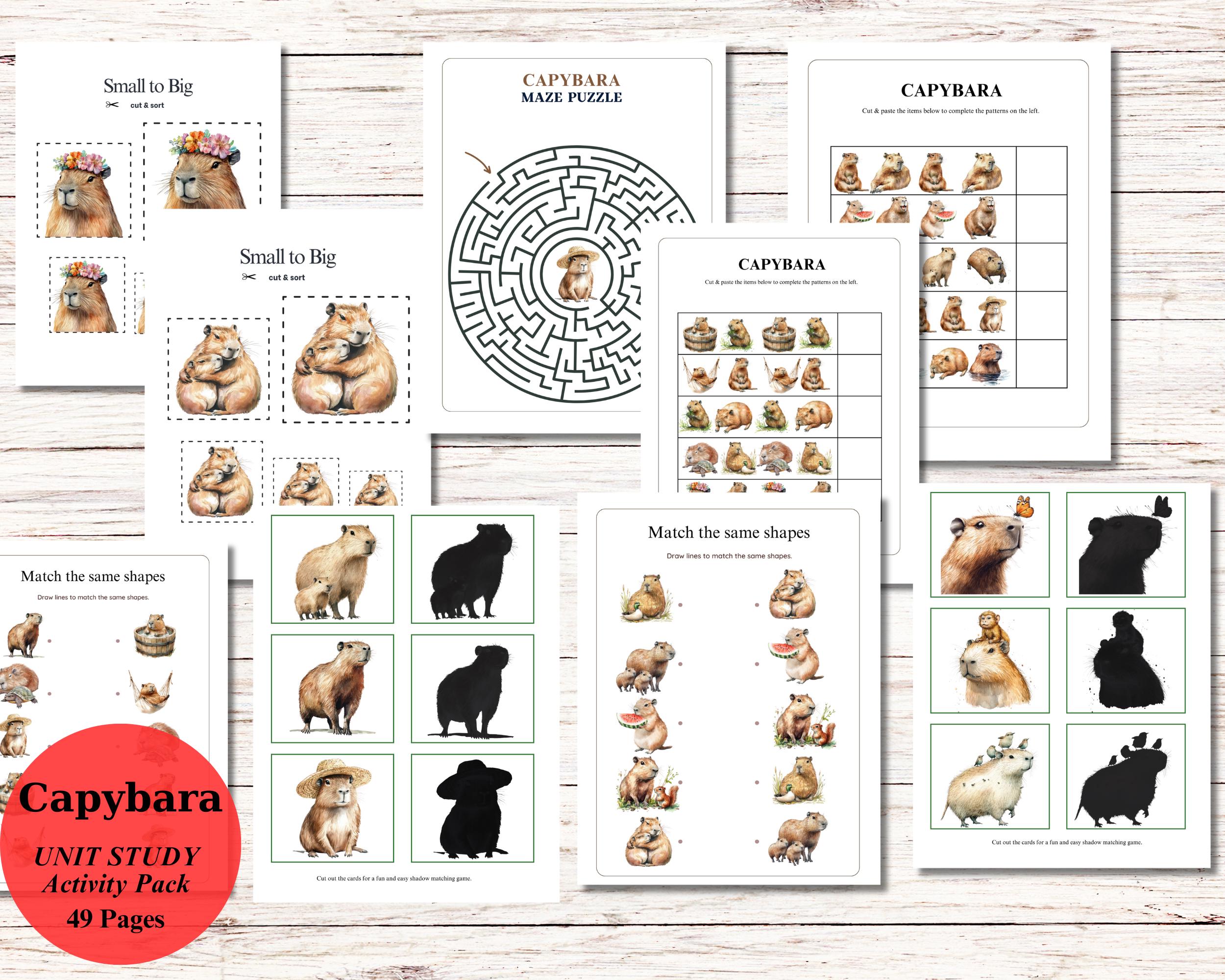 Capybara Unit Study and Activity Pack, Instant Download - Etsy