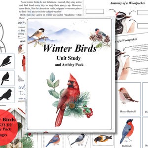 Può includere: Un pacchetto di studio e attività intitolato "Winter Birds" con un'illustrazione ad acquerello di un cardinale rosso. La copertina presenta anche il testo "Unit Study and Activity Pack" e "58 Pages". Sono incluse immagini aggiuntive di vari uccelli.
