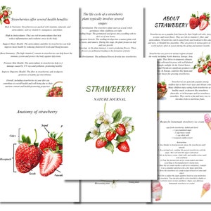 May include: Illustrated guide to strawberries, featuring a close-up of a strawberry, a diagram of its anatomy, and information about its health benefits, life cycle, and uses. The text includes "STRAWBERRY NATURE JOURNAL" and "ABOUT STRAWBERRY".