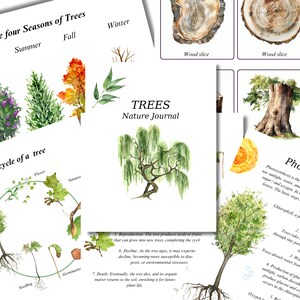 Tree Nature Journal BUNDLE -  Unit Study, Life cycle, Anatomy, benefits of a tree, Photosynthesis