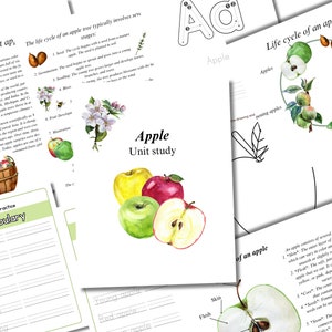 May include: An educational printable worksheet about apples. The worksheet includes a life cycle of an apple tree, a vocabulary list, and a diagram of the parts of an apple. The worksheet features colourful illustrations of apples.