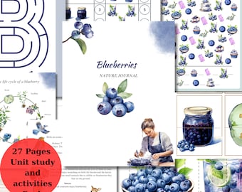 Blueberry Life Cycle Nature Study, Montessori Activity (PDF)