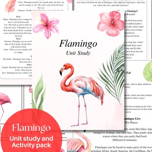 May include: A flamingo unit study and activity pack with 20 pages. The cover features a watercolor illustration of a pink flamingo with a white background. The text "Flamingo Unit Study" is in a black font.