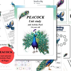 May include: A printable peacock unit study and activity pack for children aged 3-6. The pack includes 42 pages of activities, such as tracing lines, matching, and counting. The cover features a colourful illustration of a peacock with its tail feathers spread out.