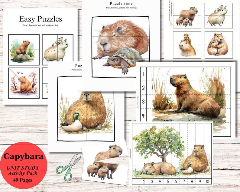 Capybara Unit Study and Activity Pack, Instant Download - Etsy