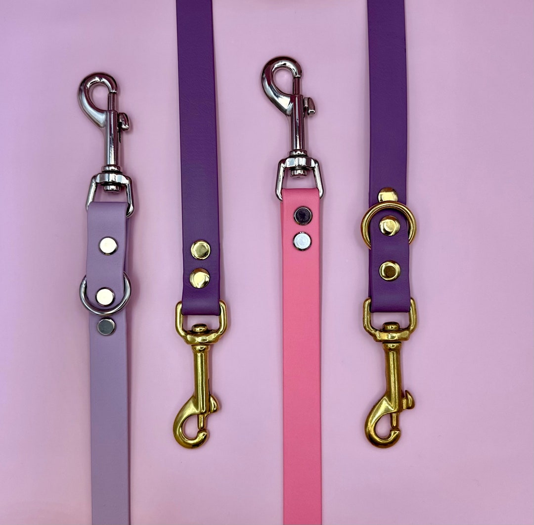 Custommade Biothane® Dog Leash Different Colors Different Etsy