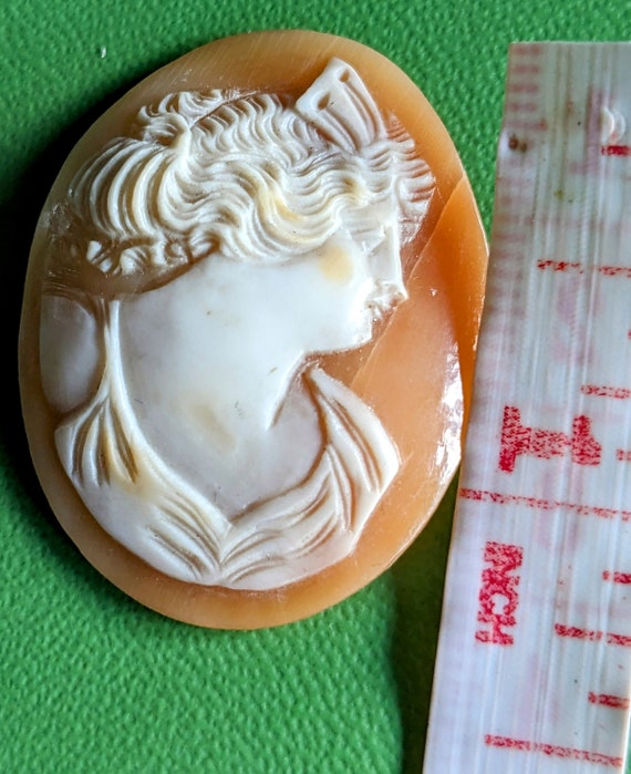 Antique 1800s detailed unmounted shell cameo - image 4