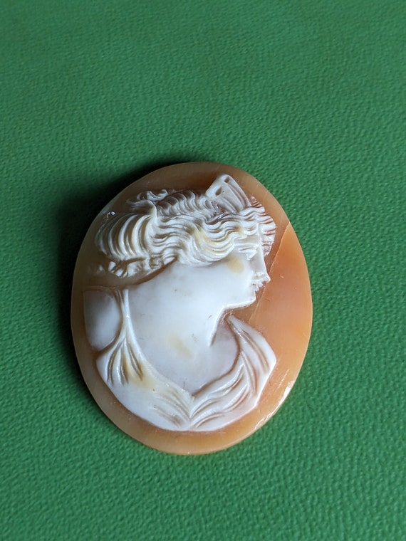 Antique 1800s detailed unmounted shell cameo - image 7