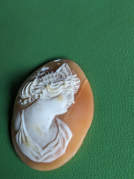 Antique 1800s detailed unmounted shell cameo - image 2