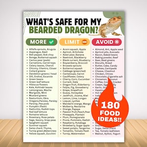May include: A white informational chart titled WHAT'S SAFE FOR MY BEARDED DRAGON? featuring a bearded dragon image and three columns labeled MORE, LIMIT, and AVOID with lists of foods. An orange flame graphic displays the text 180 FOOD IDEAS!!