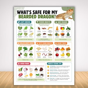 May include: An educational poster titled WHAT'S SAFE FOR MY BEARDED DRAGON? featuring a bearded dragon image and categorized sections for leafy greens, feeder insects, safe veggies, oxalate-heavy greens, fatty insects, sugary fruits, and avoid foods.