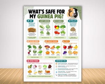 Guinea pig food list printable, cavy food chart with safe veggie list for new guinea pig owner, safe foods for guinea pigs, cavy pig feeding