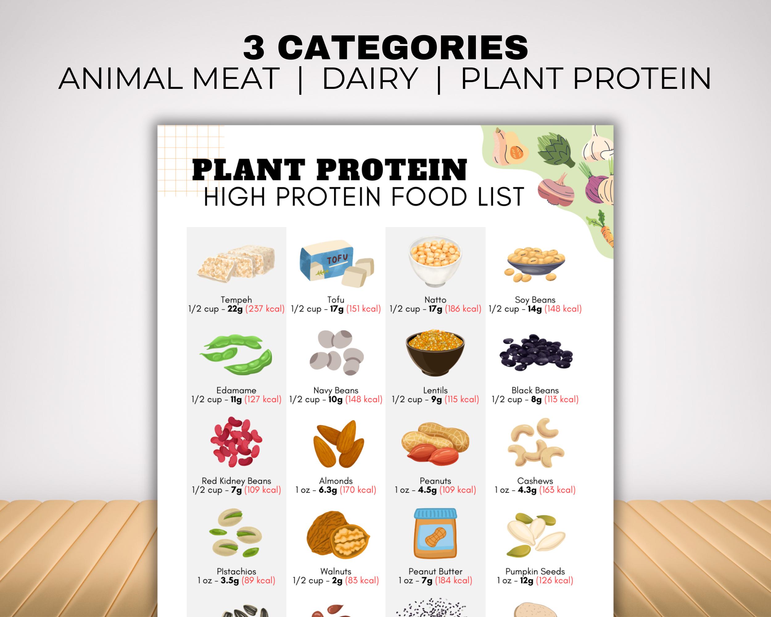 High Protein Food List and Low Carb Keto Food List for Muscle Building ...