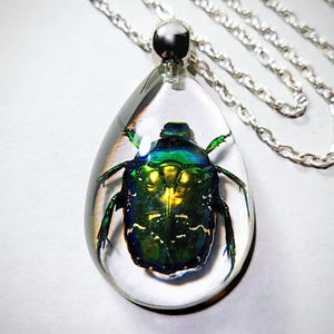 May include: A silver chain necklace with a clear teardrop pendant containing a preserved green and gold beetle.