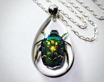 Beetle in Resin Necklace, Real Insect Jewelry, Green Chafer Beetle Pendant