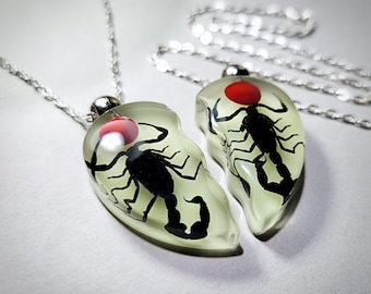 Glow in the Dark Scorpion Heart Necklace Set, Lucky Bean, Real