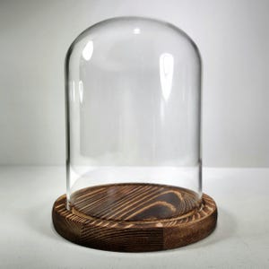 Glass Display Dome, Glass and Wood Terrarium Cloche