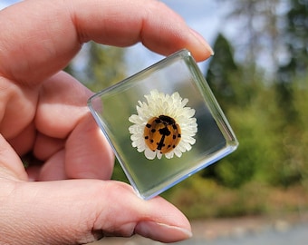 Ladybug with Flower in Resin, Tiny Insects in Resin Diorama