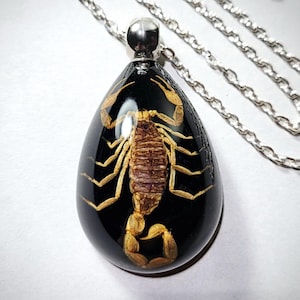 Yellow Scorpion Black Resin Necklace, Real Insect Jewelry, Scorpion Pendant