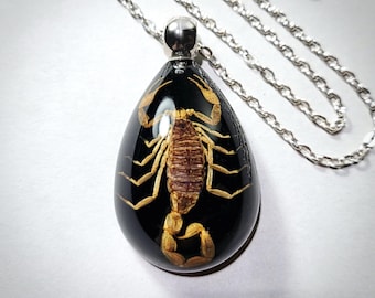 Yellow Scorpion Black Resin Necklace, Real Insect Jewelry, Scorpion Pendant