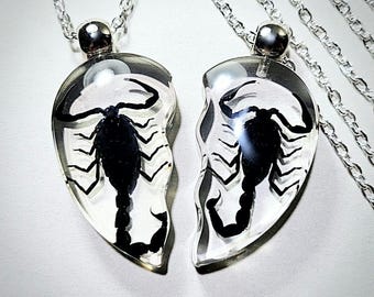 Black Scorpion Heart Necklace Set, Real Insect Jewelry, Oddities