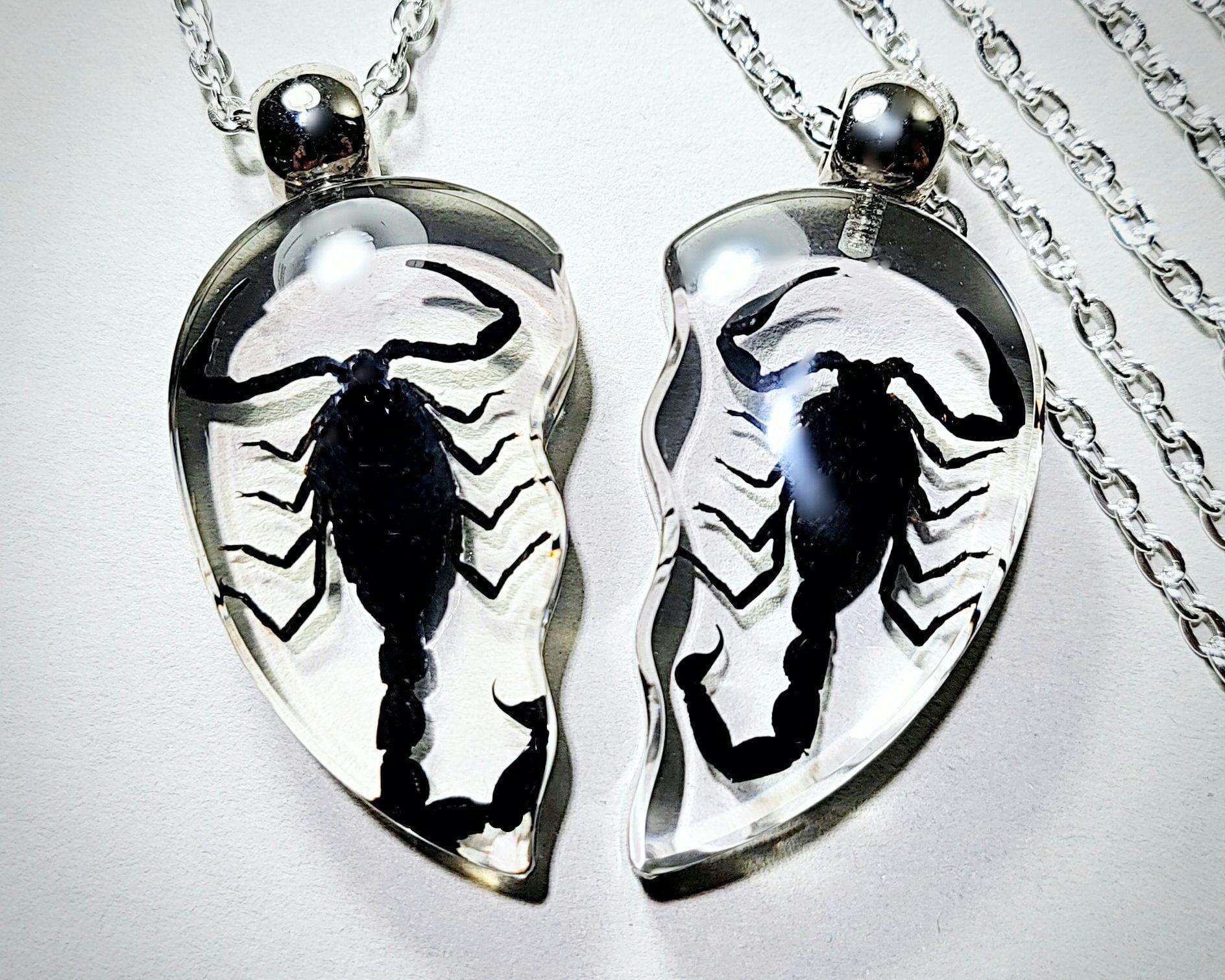 Black Scorpion Heart Necklace Set, Real Insect Jewelry, Oddities