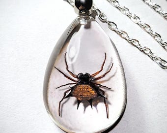 Spider Necklace, Spiny Orb Weaver, Real Insect Jewelry