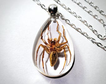Spider in Resin Necklace, Real Insect Jewelry, Spider Pendant