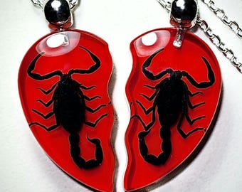 Black Scorpion Red Heart Necklace Set, Real Insect Jewelry, Oddities