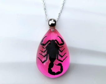 Black Scorpion Pink Necklace, Real Insect Jewelry