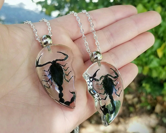 Black Scorpion Heart Necklace Set, Real Insect Jewelry, Oddities