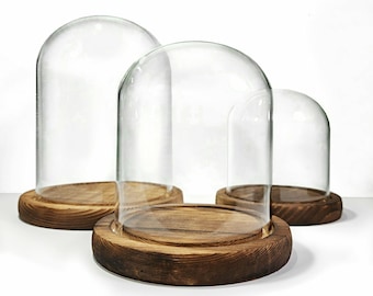 Glass Display Dome, Glass and Wood Terrarium Cloche