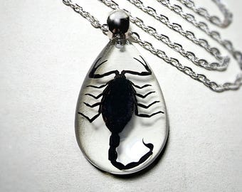 Scorpion in Resin Necklace, Real Insect Jewelry, Black Scorpion Pendant