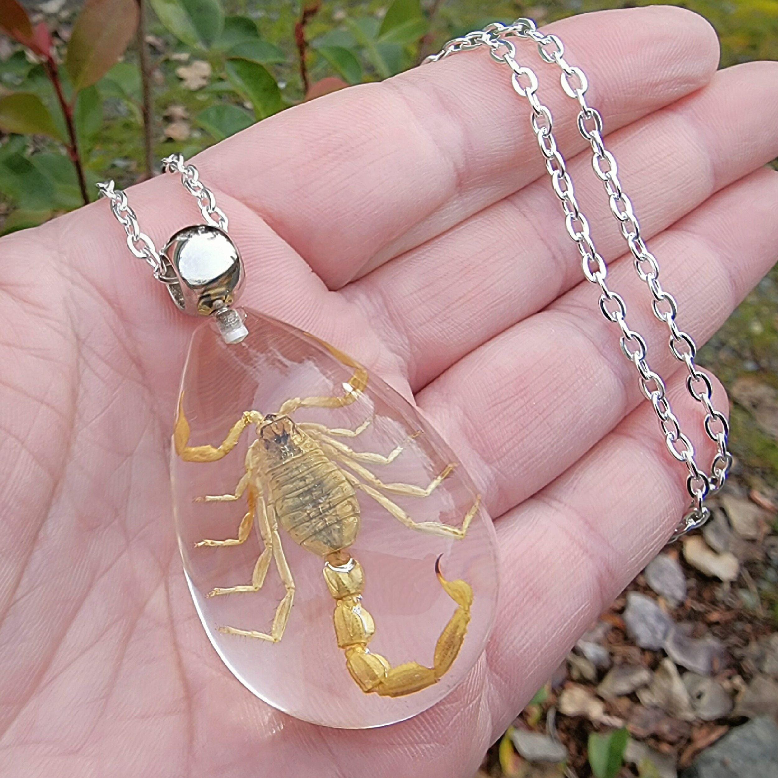 Yellow Scorpion in Resin Necklace, Real Insect Jewelry, Golden
