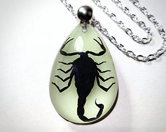Glow in the Dark Black Scorpion Necklace, Real Insect Jewelry