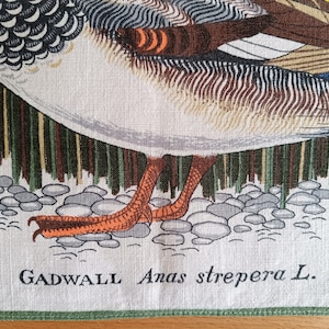 May include: A vintage linen tea towel with a detailed illustration of a Gadwall duck, with the scientific name "Anas strepera L." printed below the image. The duck is depicted standing on a bed of small stones, with reeds and grasses in the background.