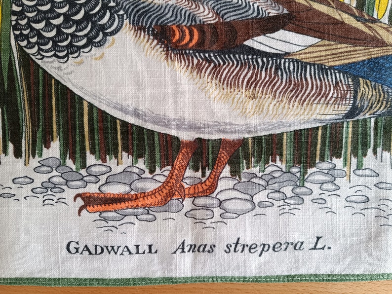 May include: A vintage linen tea towel with a detailed illustration of a Gadwall duck, with the scientific name "Anas strepera L." printed below the image. The duck is depicted standing on a bed of small stones, with reeds and grasses in the background.