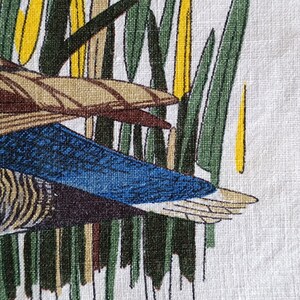 May include: A close-up of a blue and brown duck with a white background. The duck is partially obscured by green and yellow reeds.