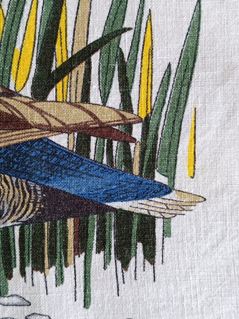 May include: A close-up of a blue and brown duck with a white background. The duck is partially obscured by green and yellow reeds.