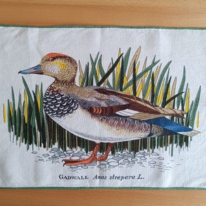May include: A white tea towel with a green border features a colorful illustration of a Gadwall duck standing in a bed of green reeds. The text "GADWALL Anas strepera L." is printed below the duck.