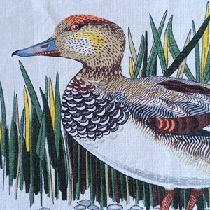 May include: A brown and white duck with a red bill and orange legs stands in a field of green grass. The duck has a yellow stripe on its head and a brown and white patterned body.